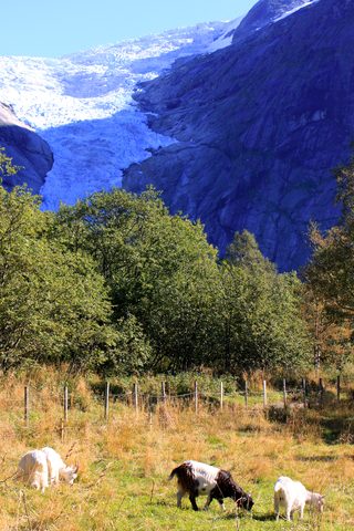 Häng i skog och fjäll i höst